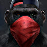 Primitive